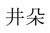 井朵